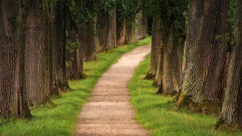 customer journey
